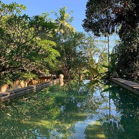 Bed and Breakfast Sri Yoga Shala Unawatuna Exteriér fotografie