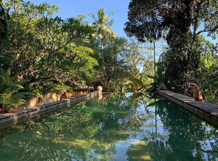 Bed and Breakfast Sri Yoga Shala Unawatuna Exteriér fotografie